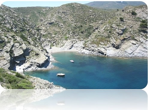 un dia... una imatge...